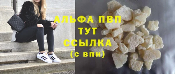 стафф Новокубанск