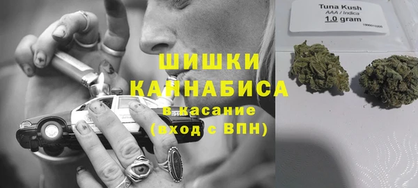меф Нягань