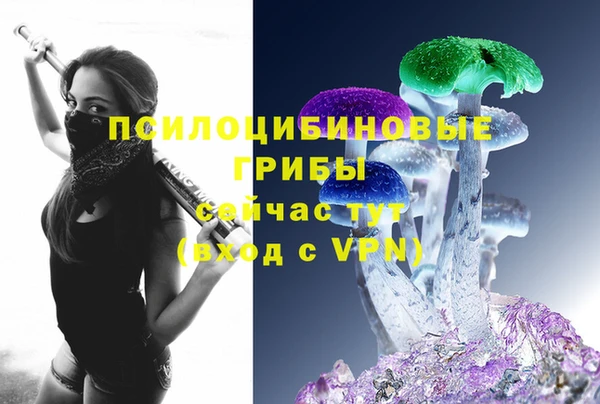 MDMA Богородск