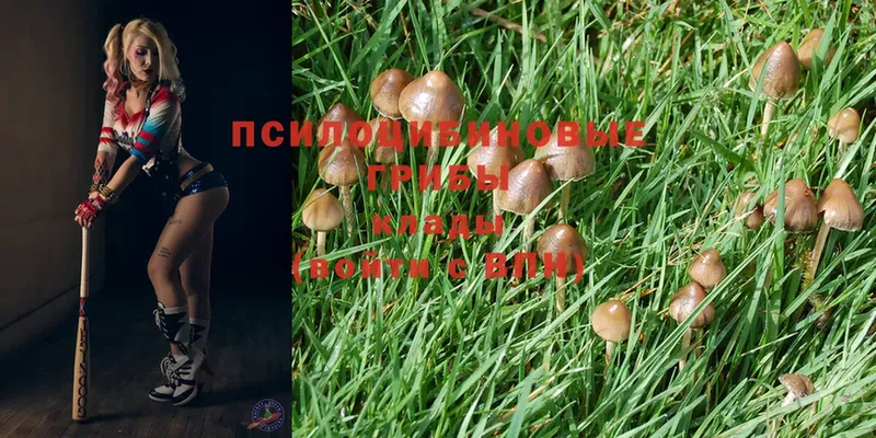 Галлюциногенные грибы Magic Shrooms  hydra как войти  Полярные Зори 